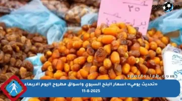 «تحديث يومي» أسعار البلح السيوى وأسواق مطروح اليوم الأربعاء 11-8-2025